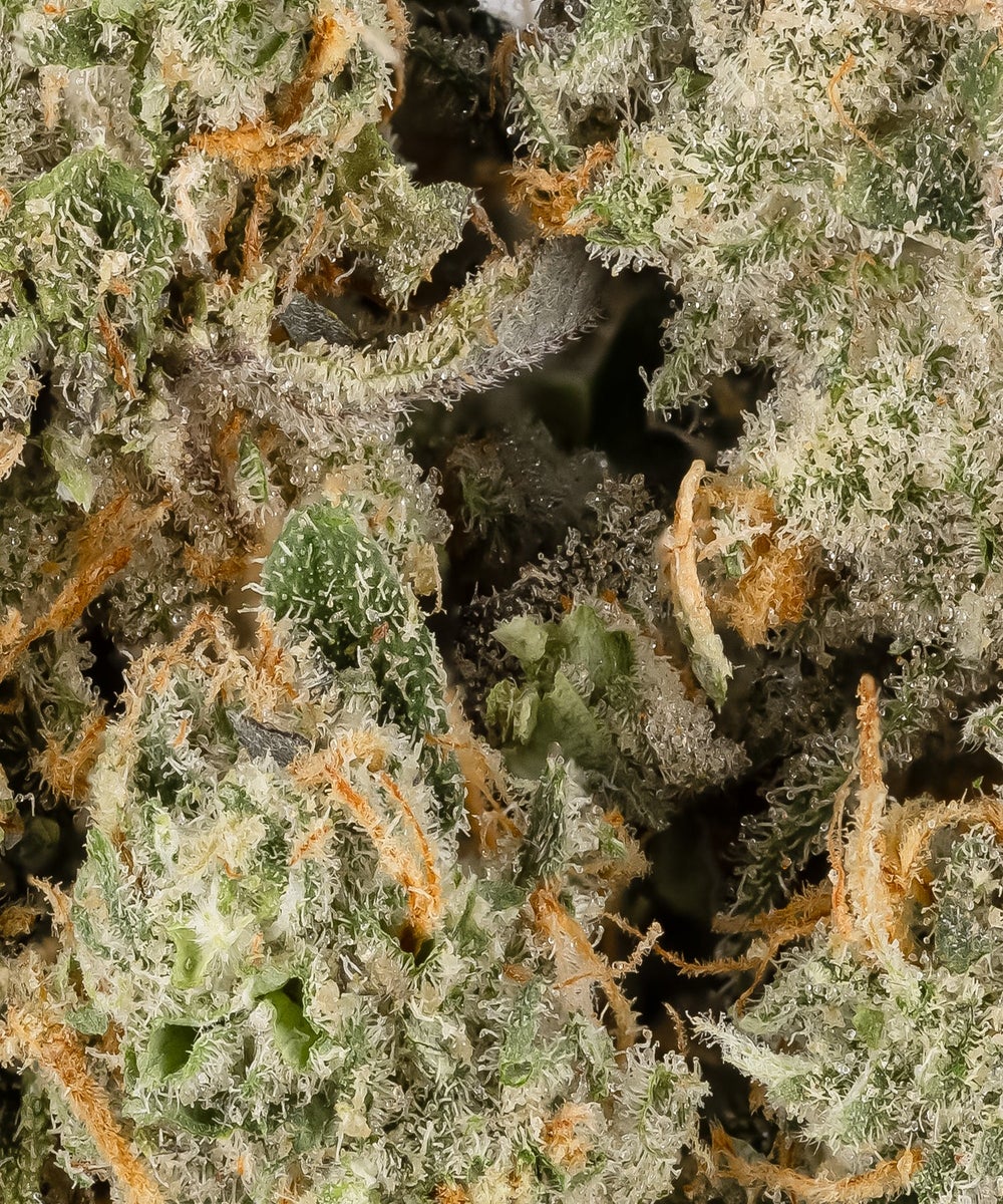Jelly Breath (Hoot Cannabis)