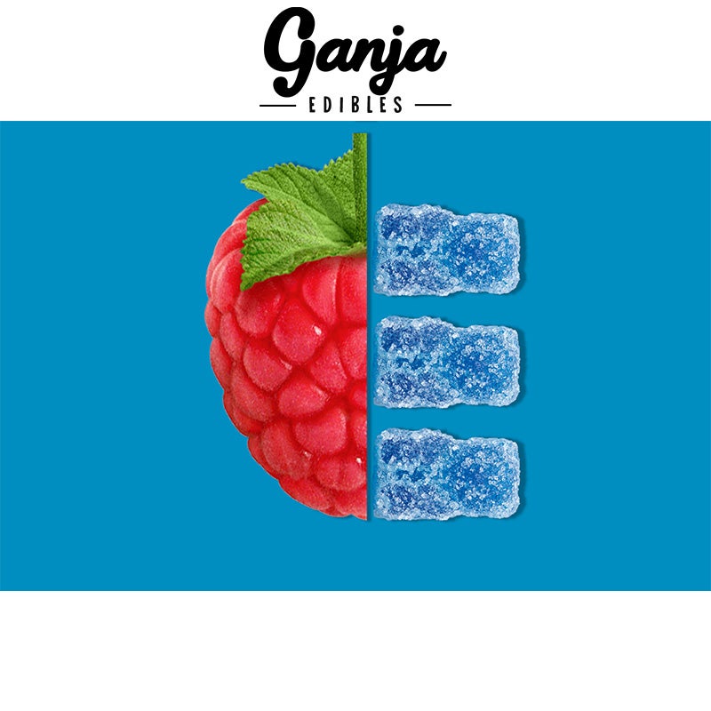 Ganja Bears Sour Gummies - 10 x 15mg THC (150mg Lab Tested)