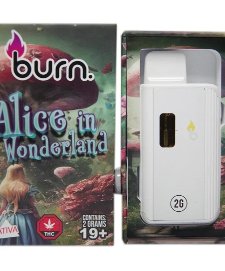 Burn Disposable - 2 Gram Vapes - Alice in Wonderland