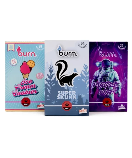 Burn Disposable - 2 Gram Vapes