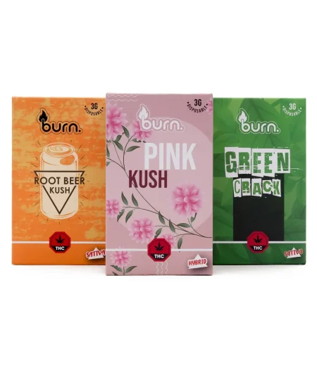 Burn Disposable - 3 Gram Vapes