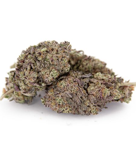 Gelato AAA-
