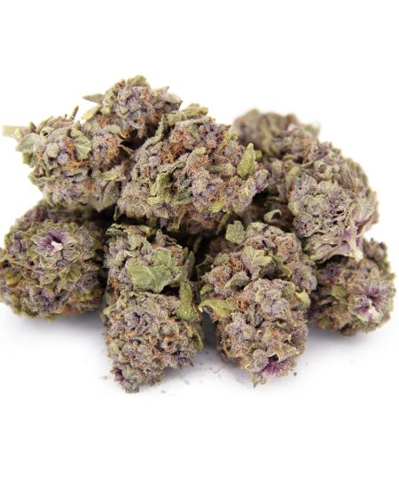 Purple Champagne AA