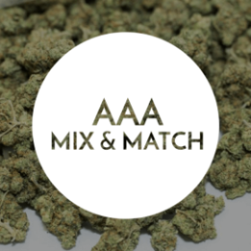 Rocket Chronic