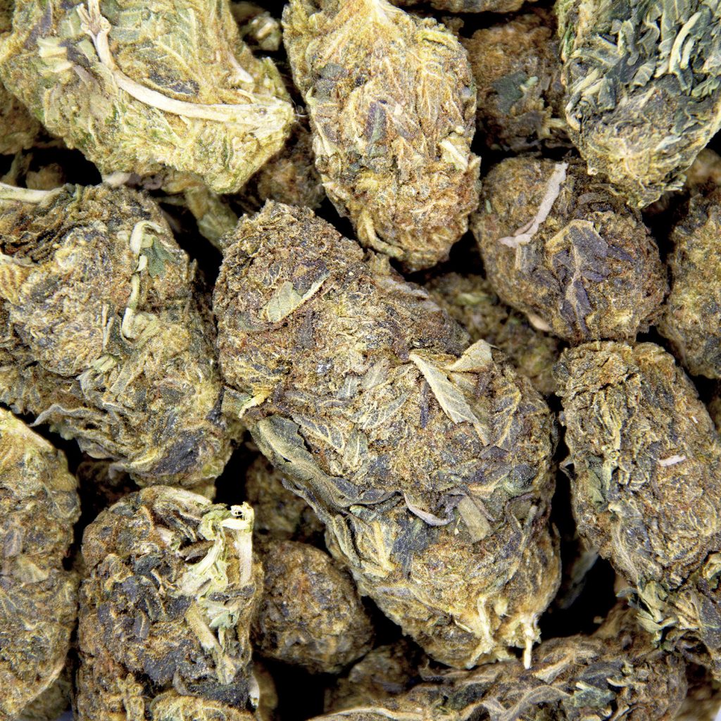 Rocket Chronic