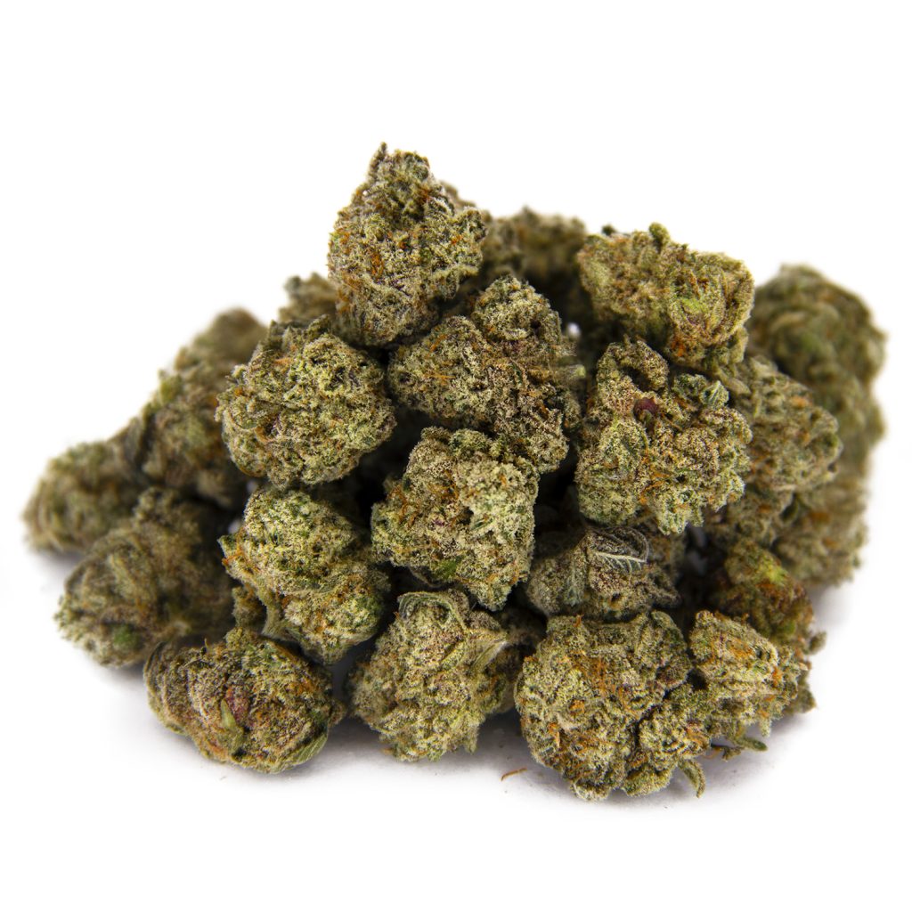 Rocket Chronic