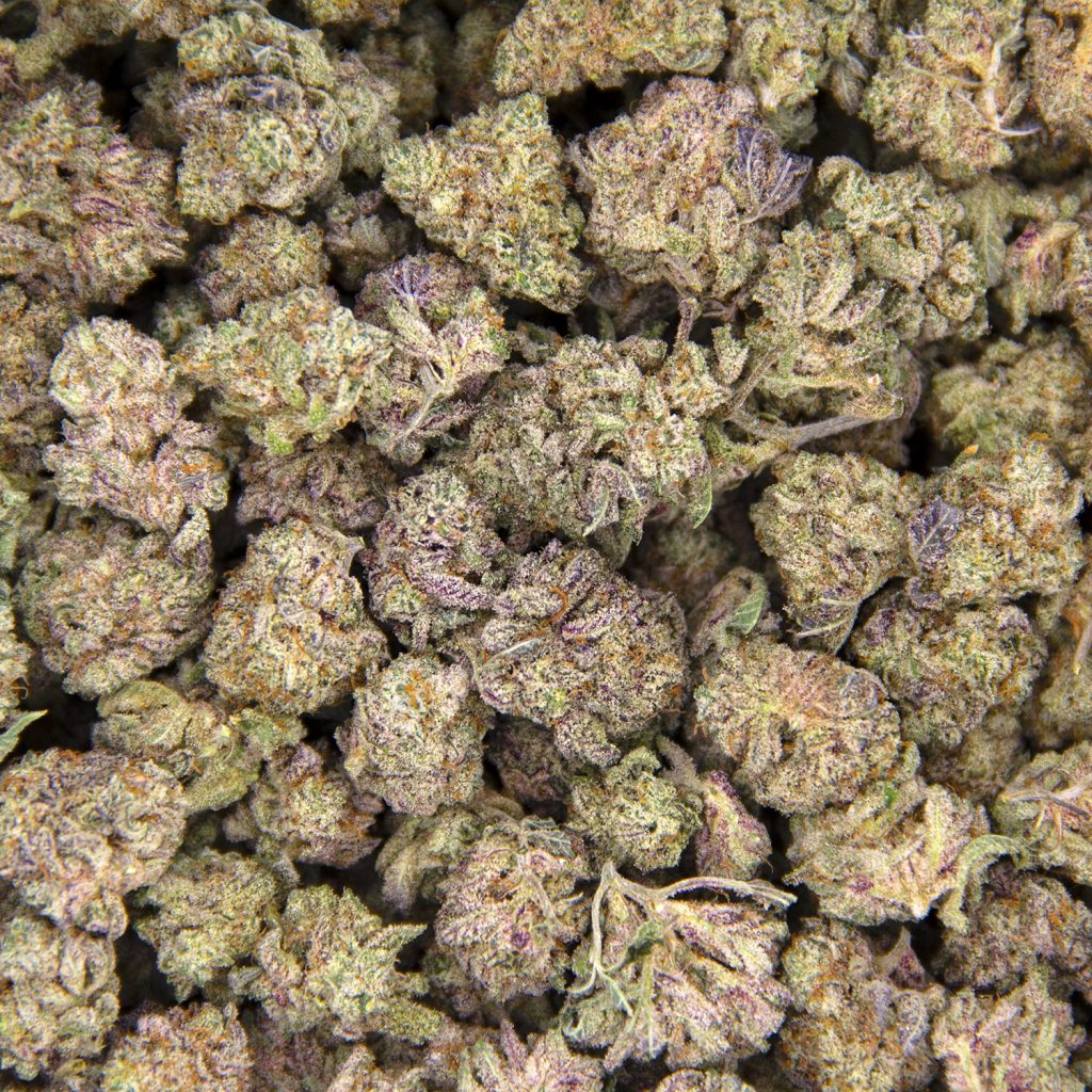 Rocket Chronic