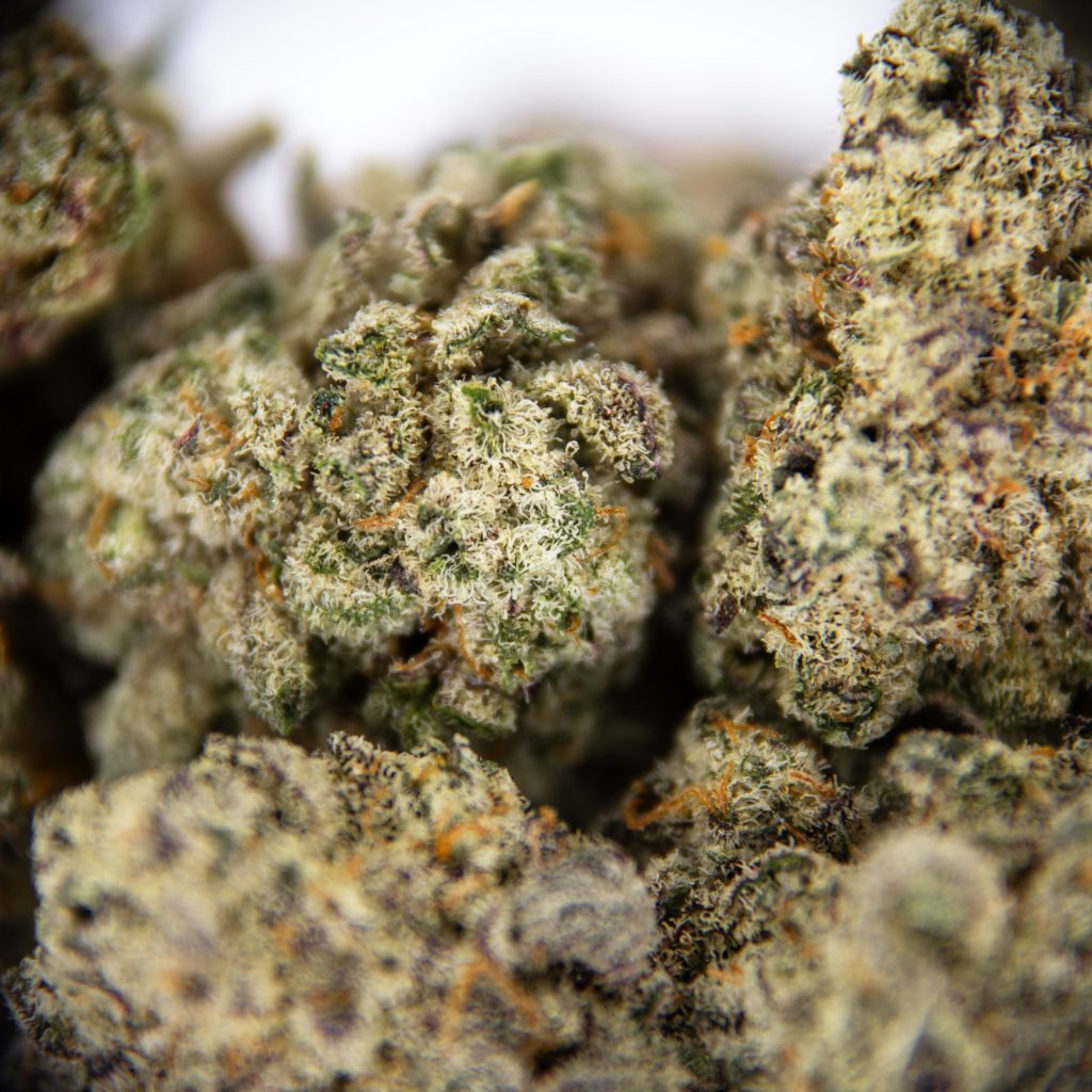 Rocket Chronic