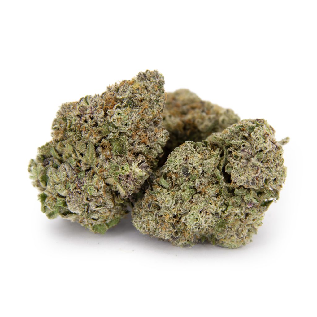 Rocket Chronic