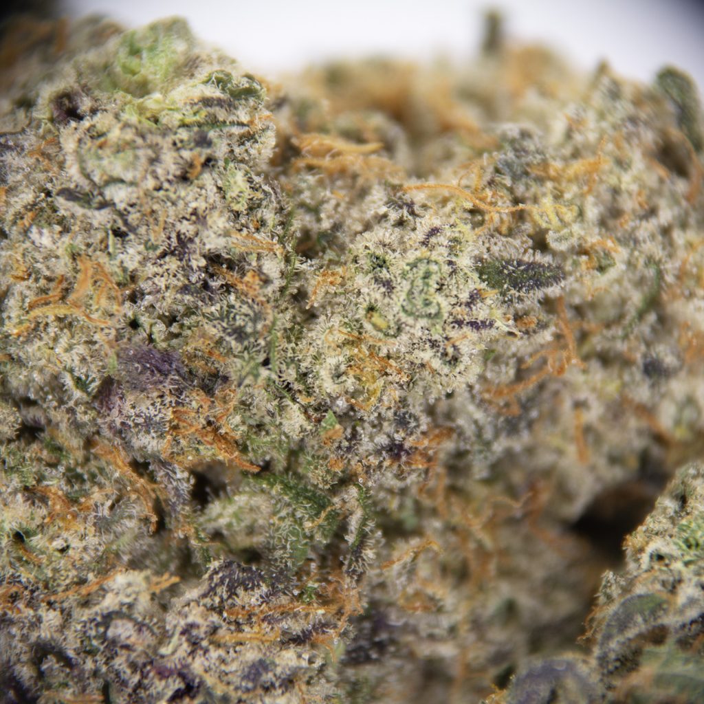 Rocket Chronic