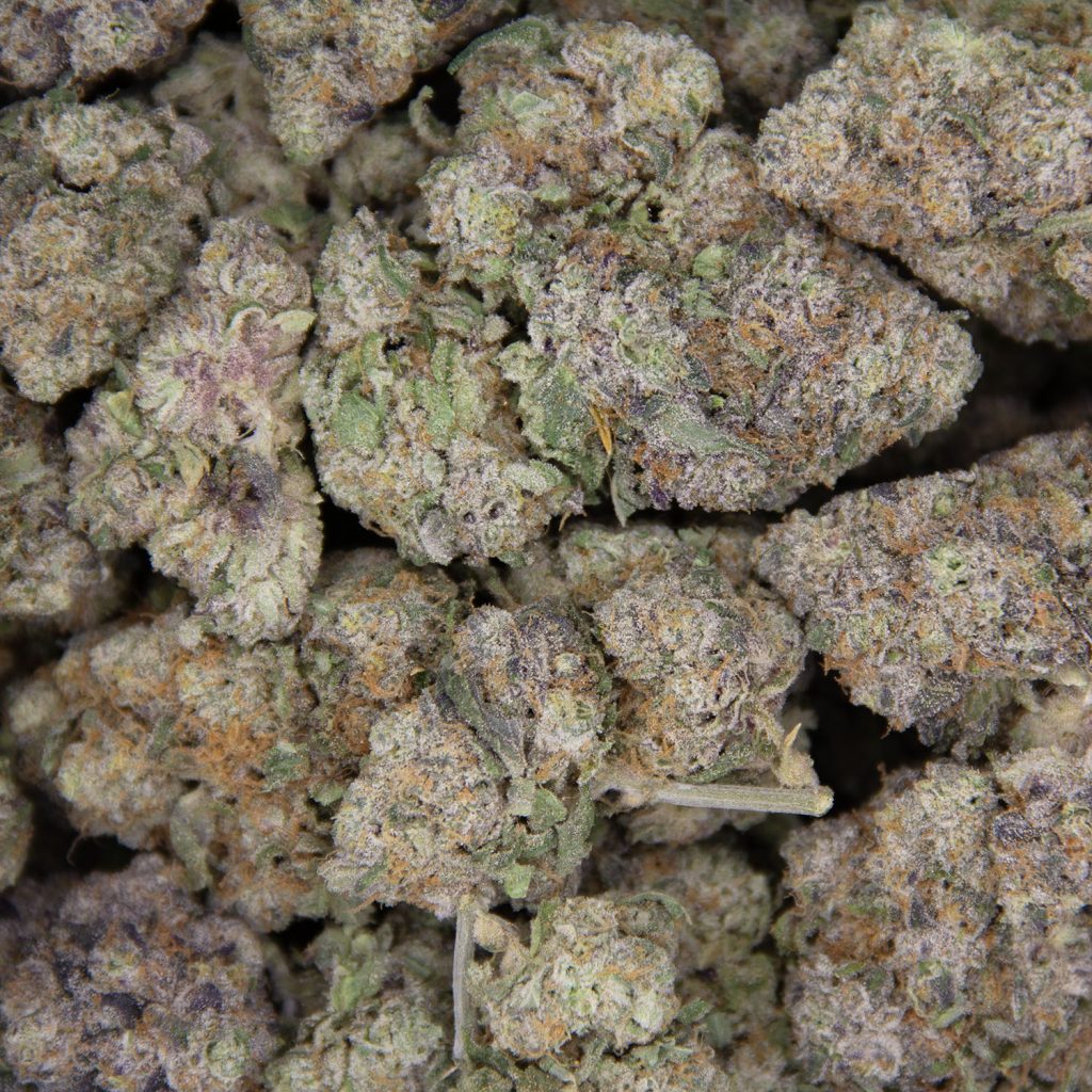 Rocket Chronic