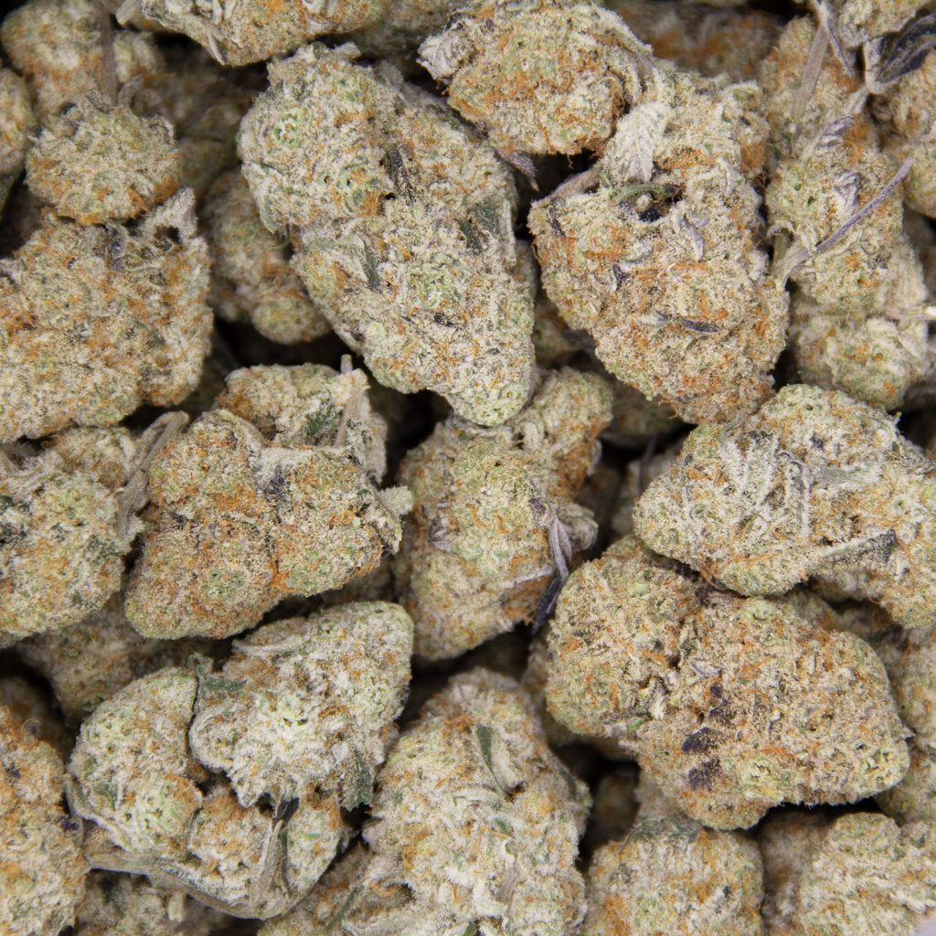 Rocket Chronic