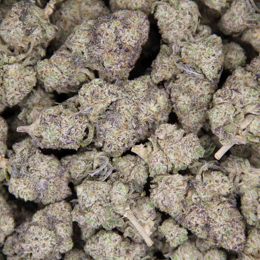 Rocket Chronic