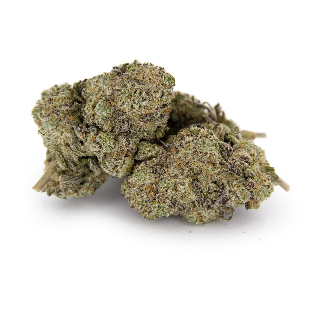 Rocket Chronic