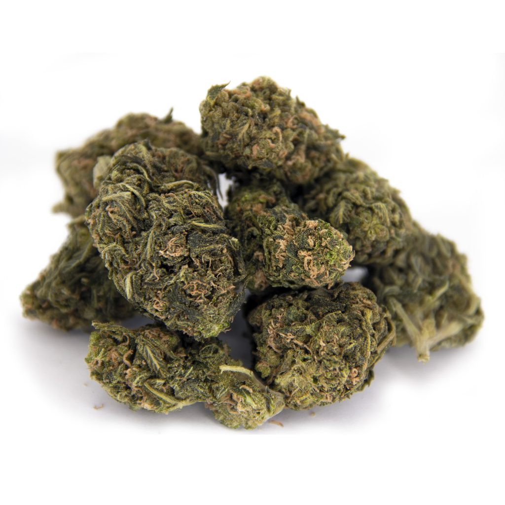 Rocket Chronic