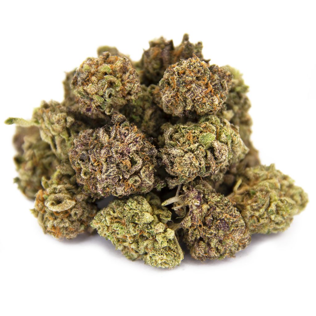 Rocket Chronic
