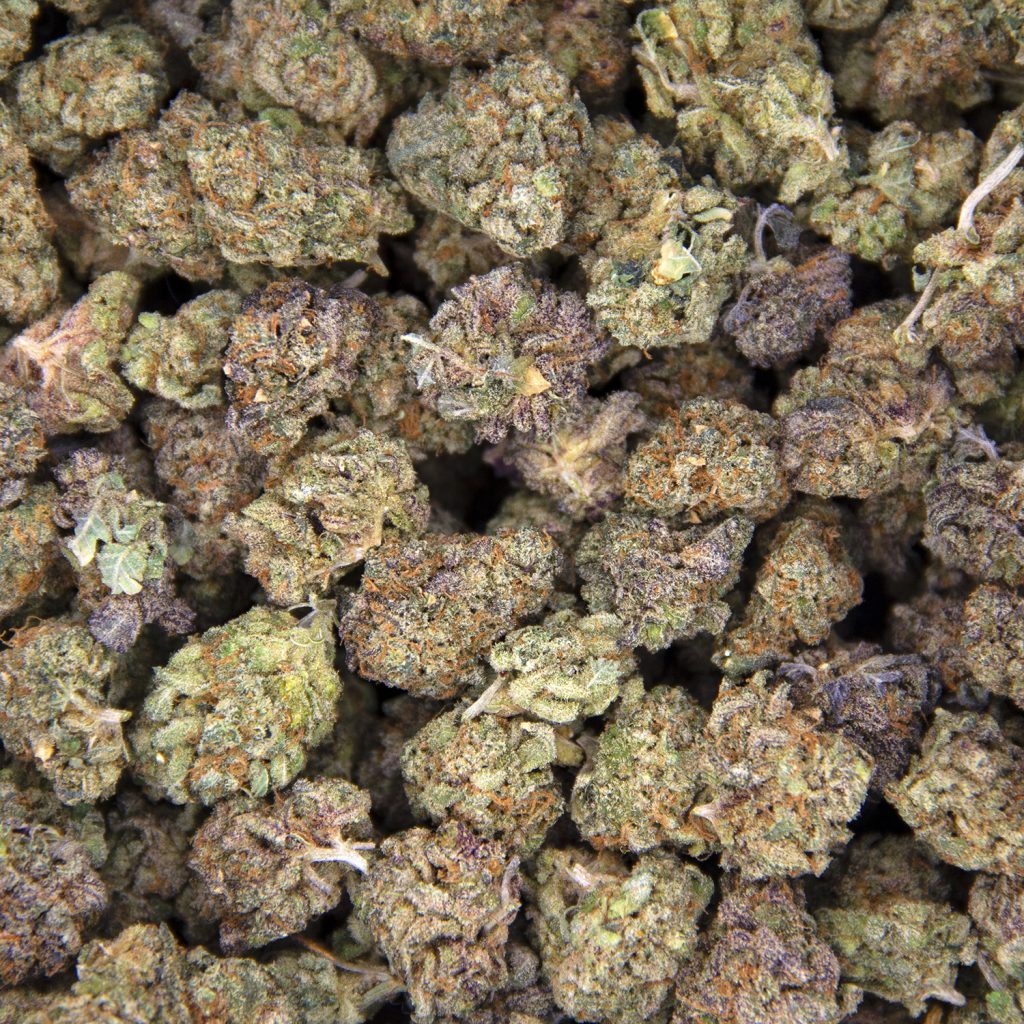 Rocket Chronic