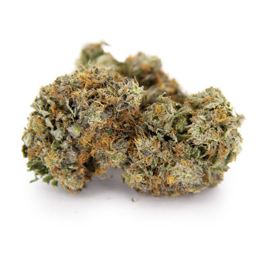Rocket Chronic