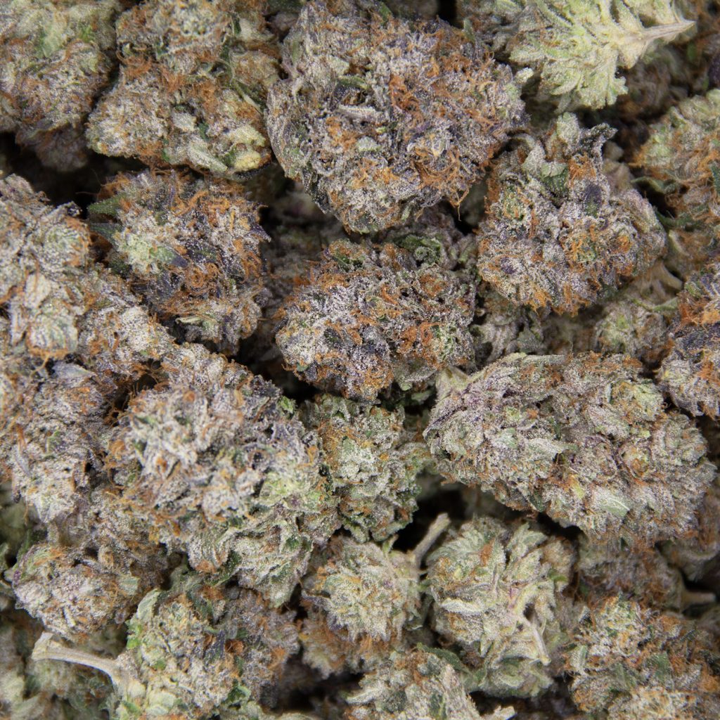 Rocket Chronic
