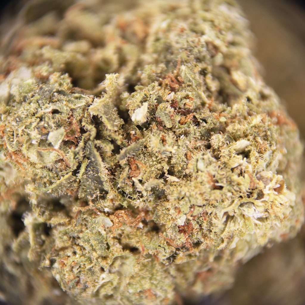 Rocket Chronic