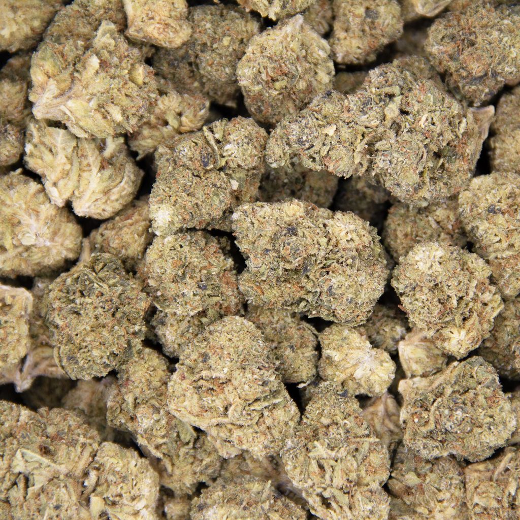 Rocket Chronic