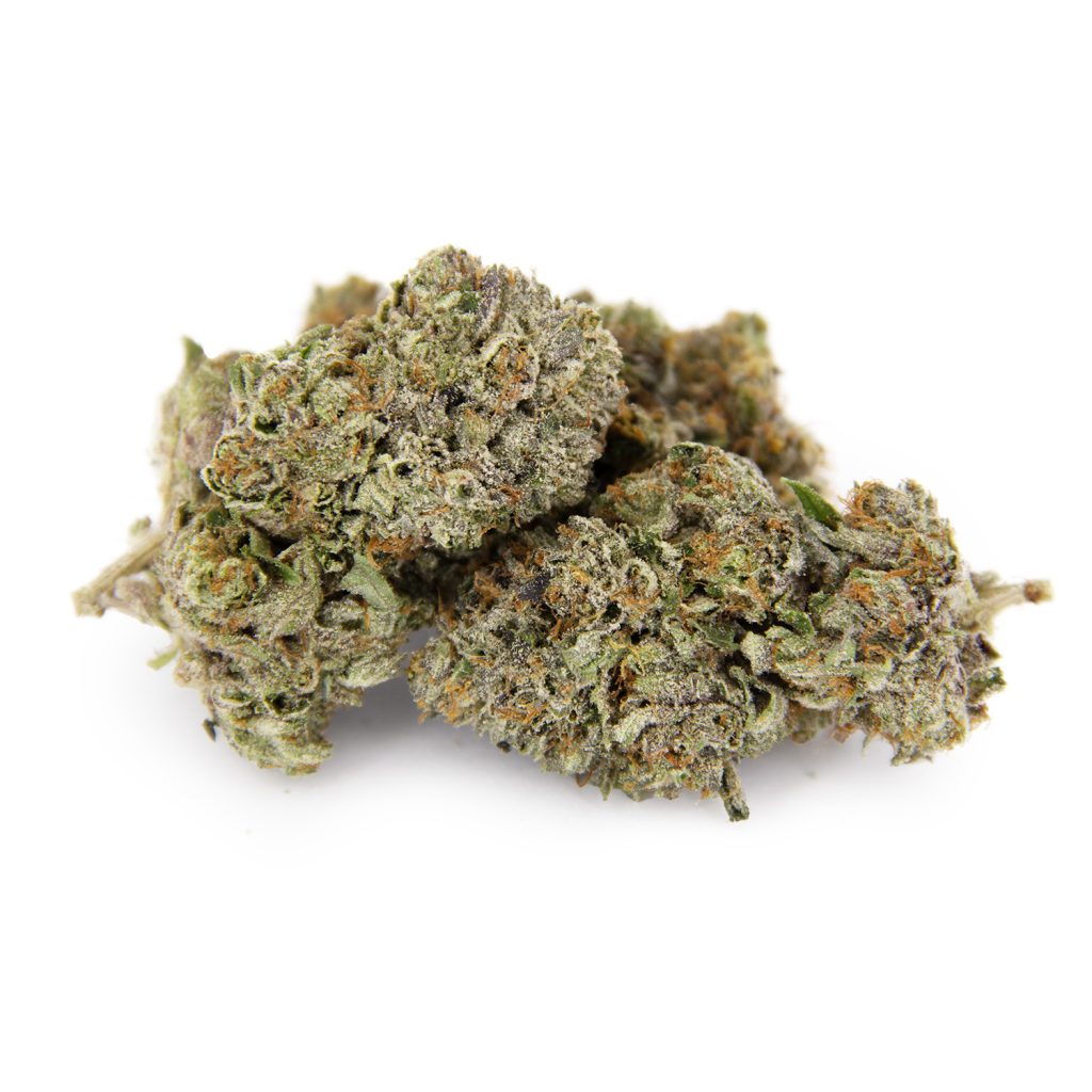 Rocket Chronic