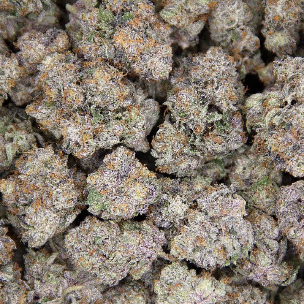 Rocket Chronic