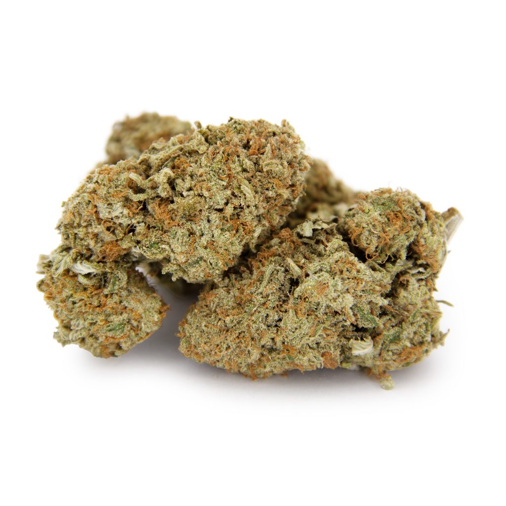 Rocket Chronic