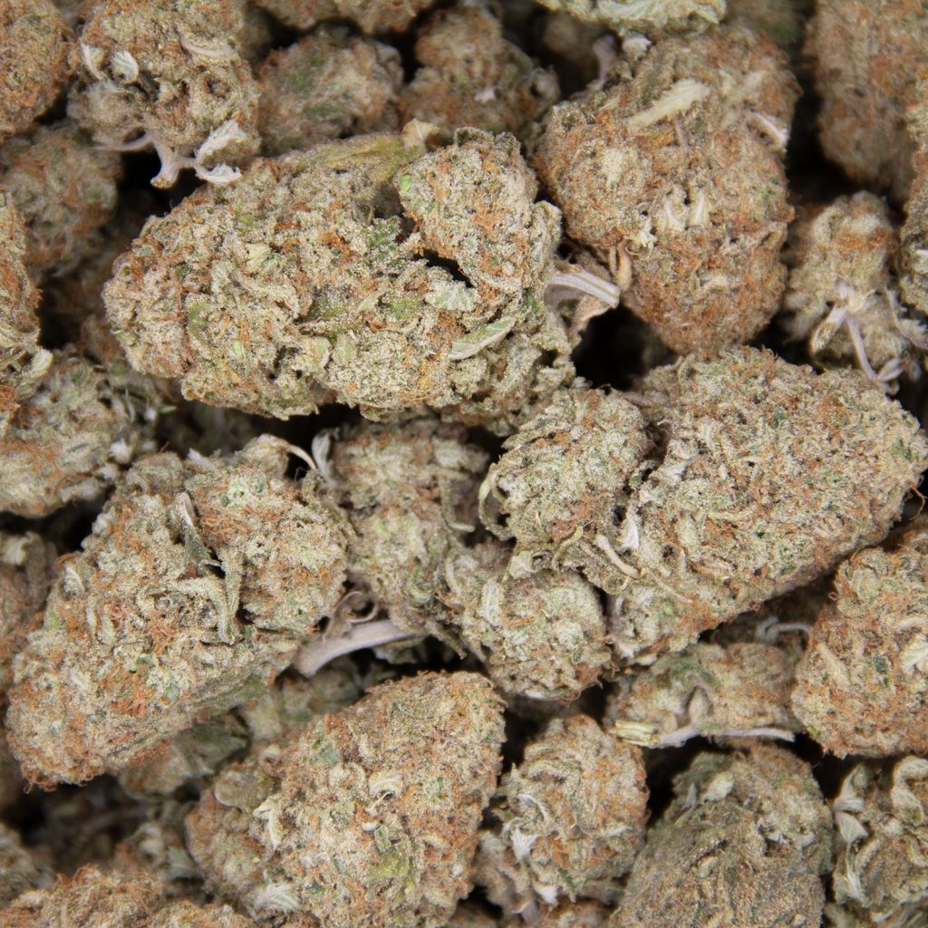 Rocket Chronic