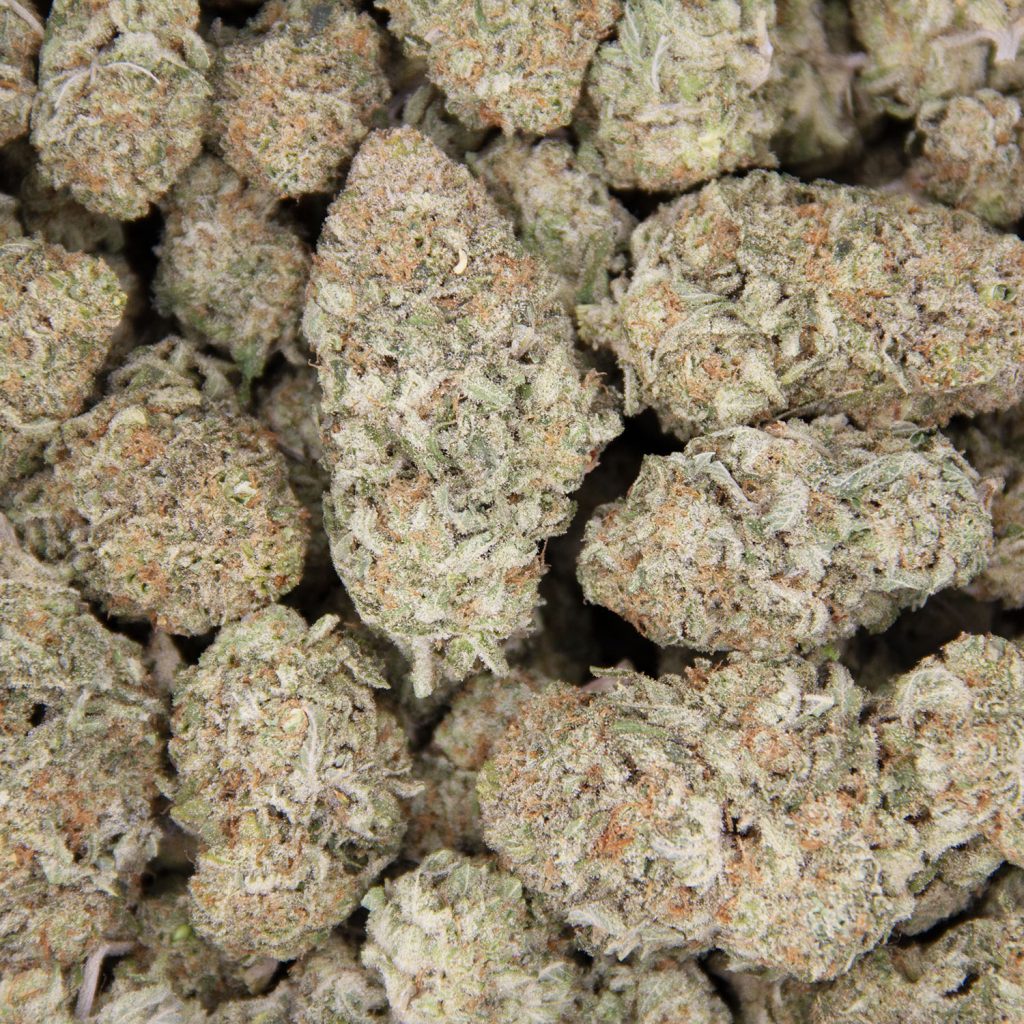 Rocket Chronic