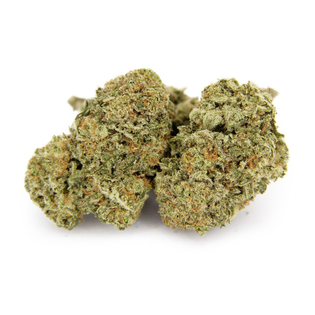 Rocket Chronic