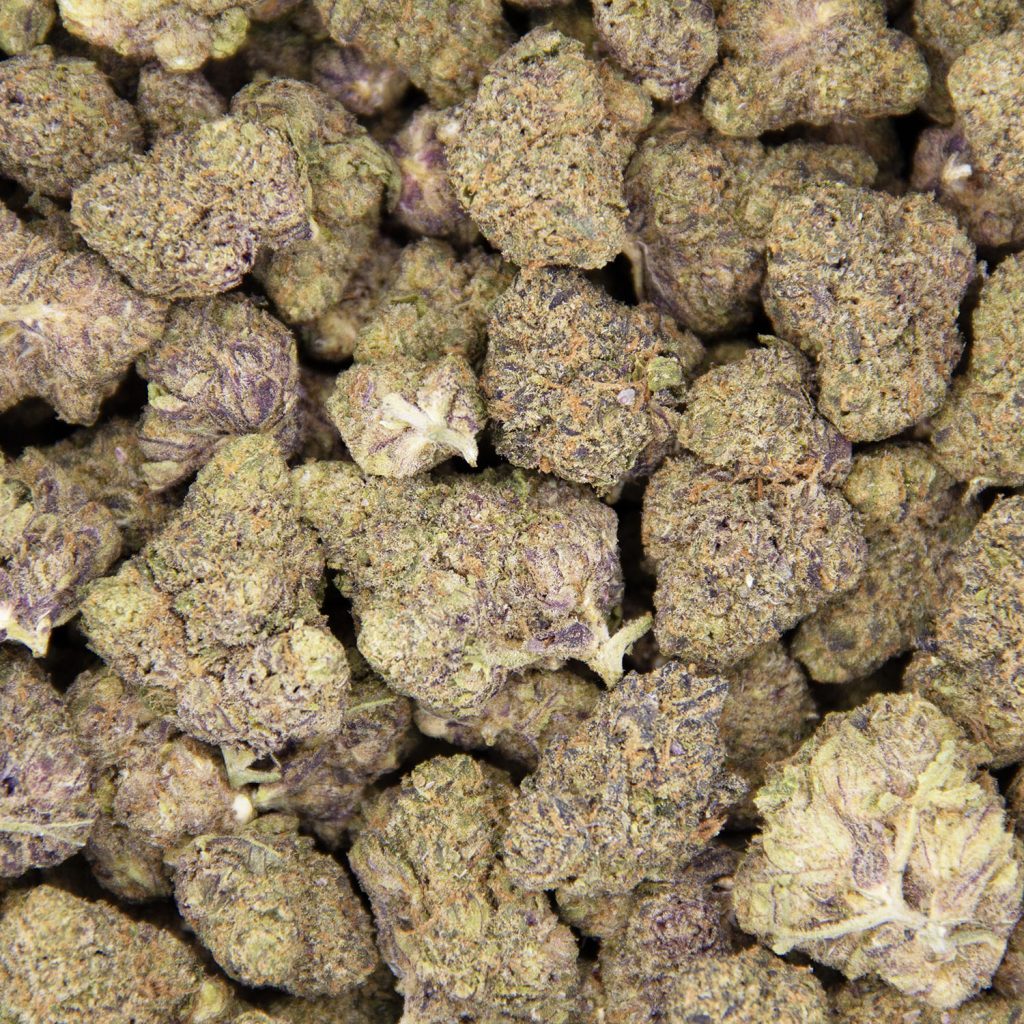 Rocket Chronic