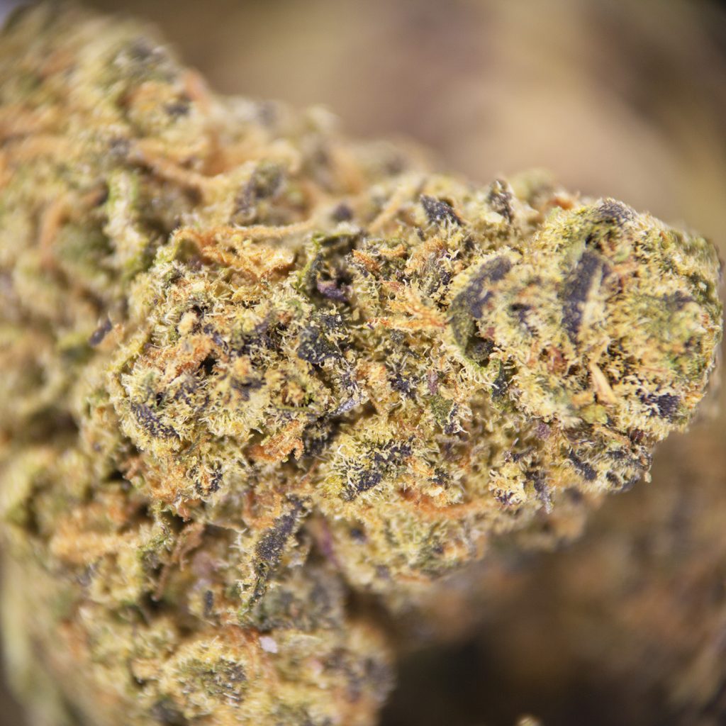 Rocket Chronic