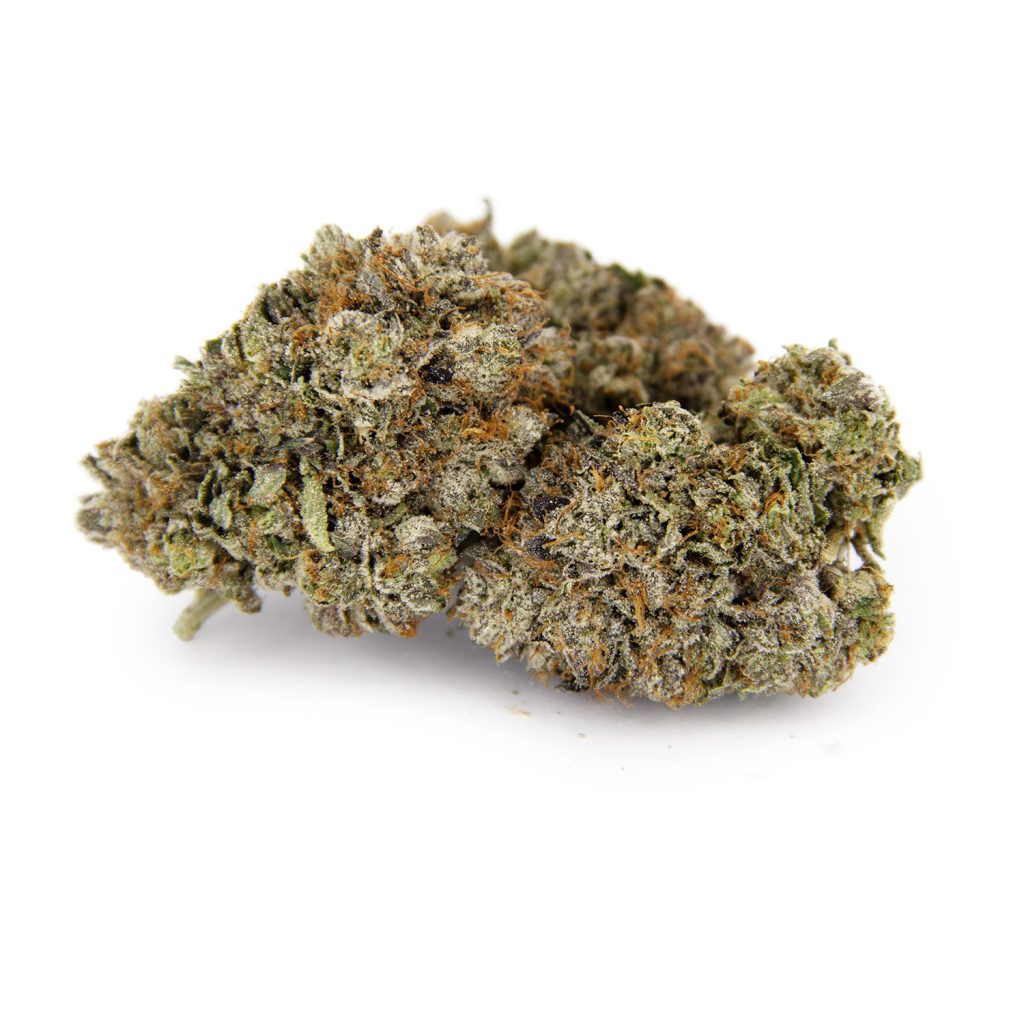 Rocket Chronic
