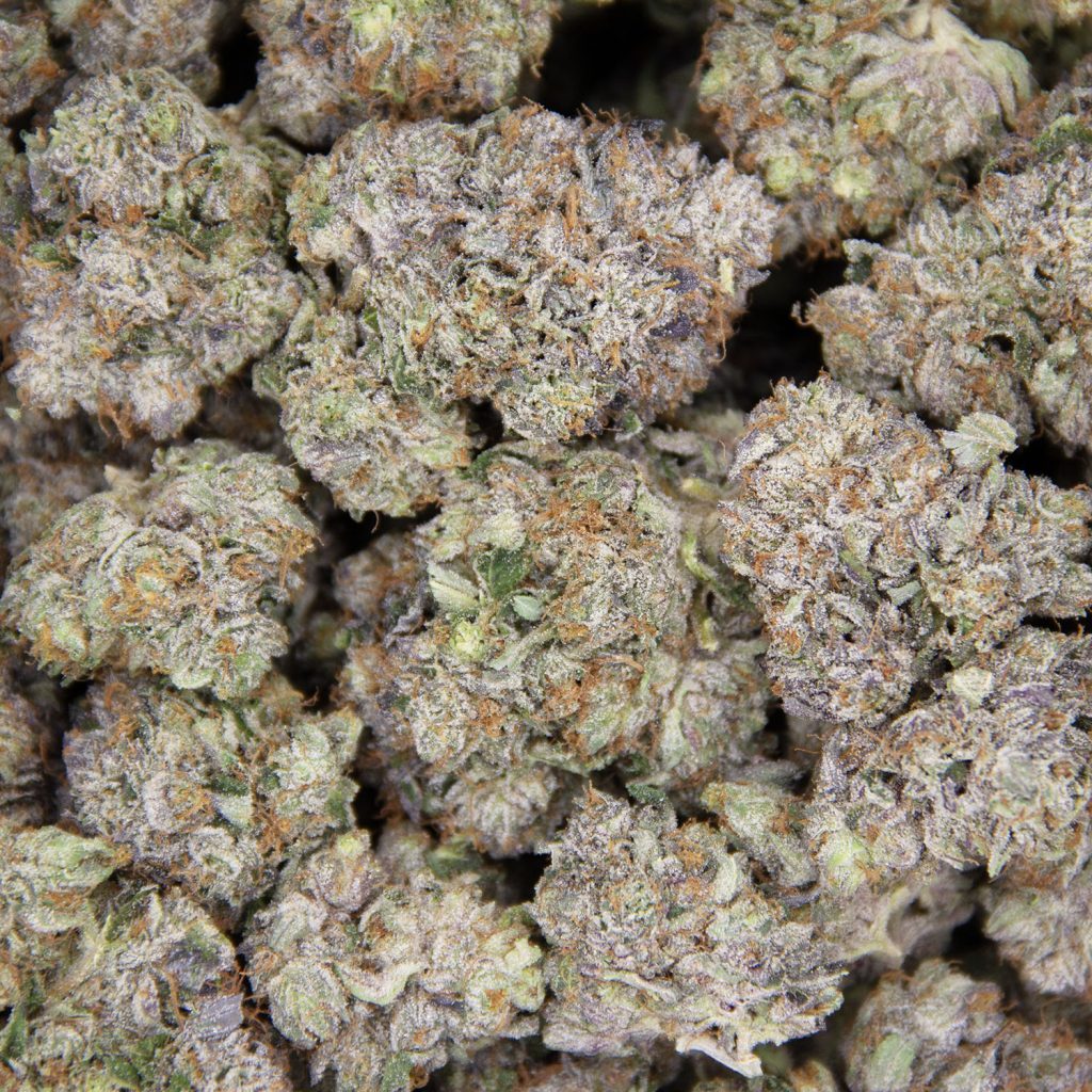 Rocket Chronic