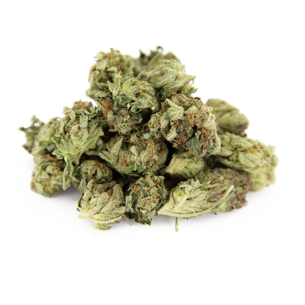 Rocket Chronic