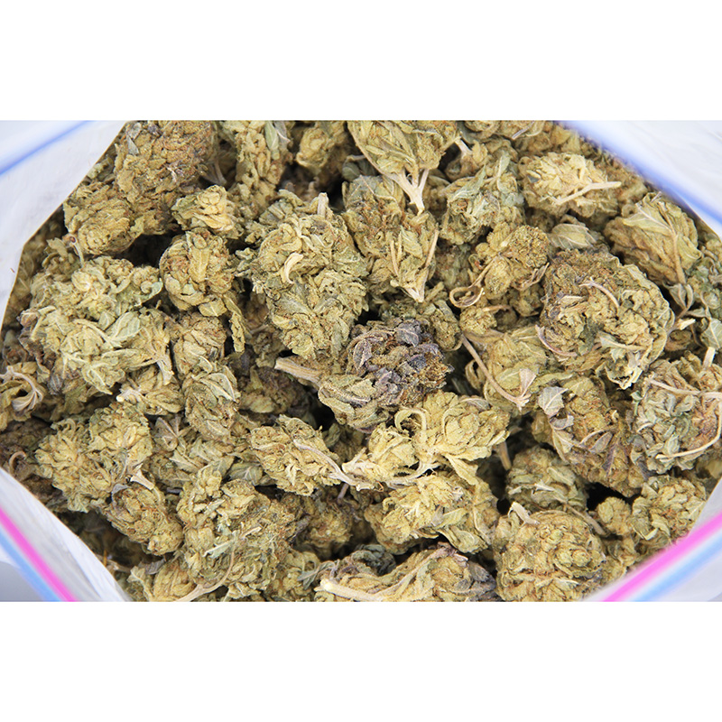 Rocket Chronic