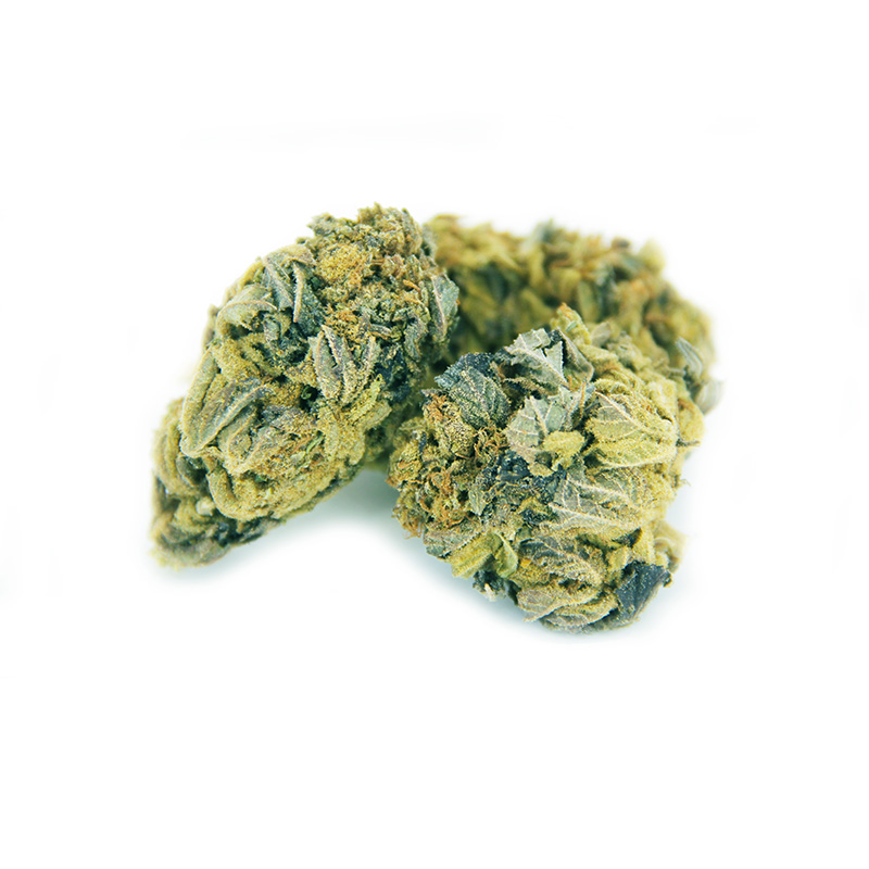 Rocket Chronic