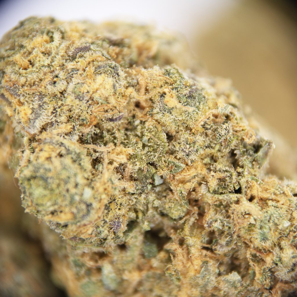 Rocket Chronic
