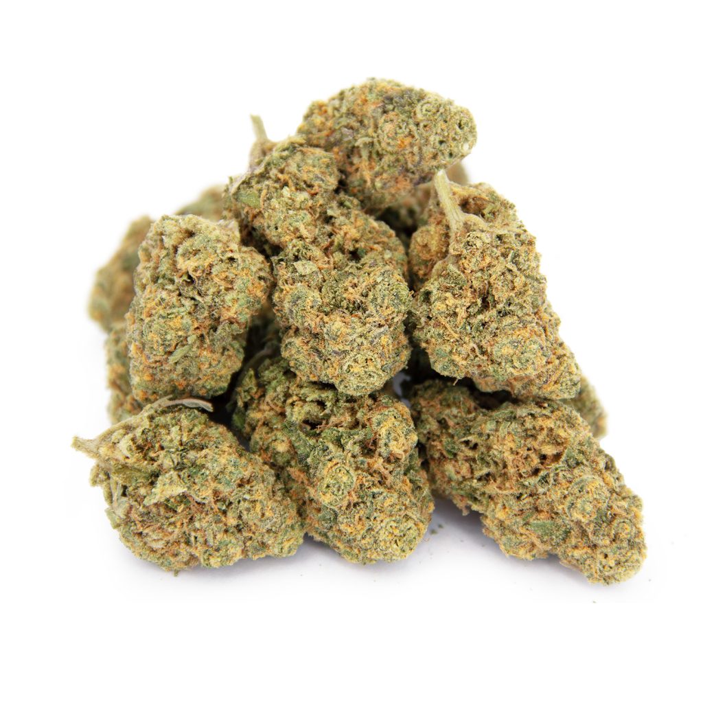Rocket Chronic