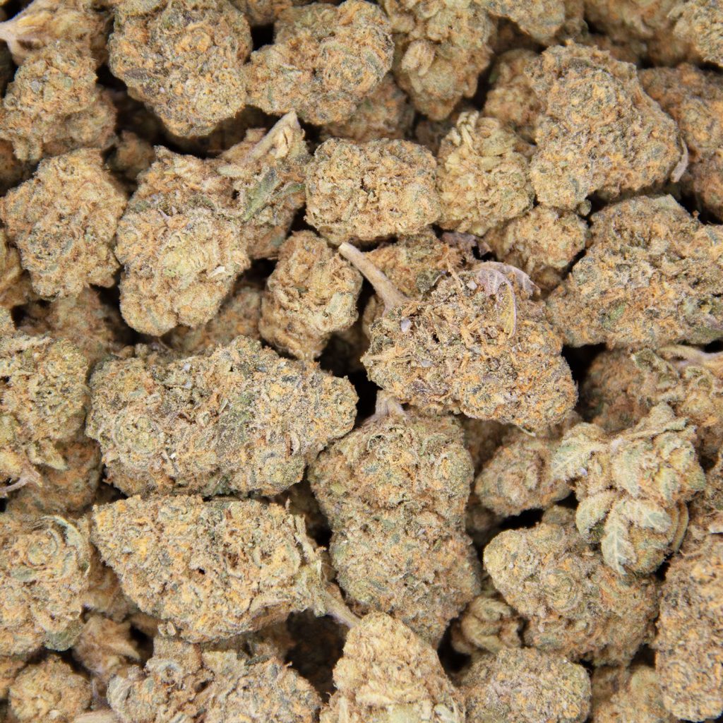 Rocket Chronic