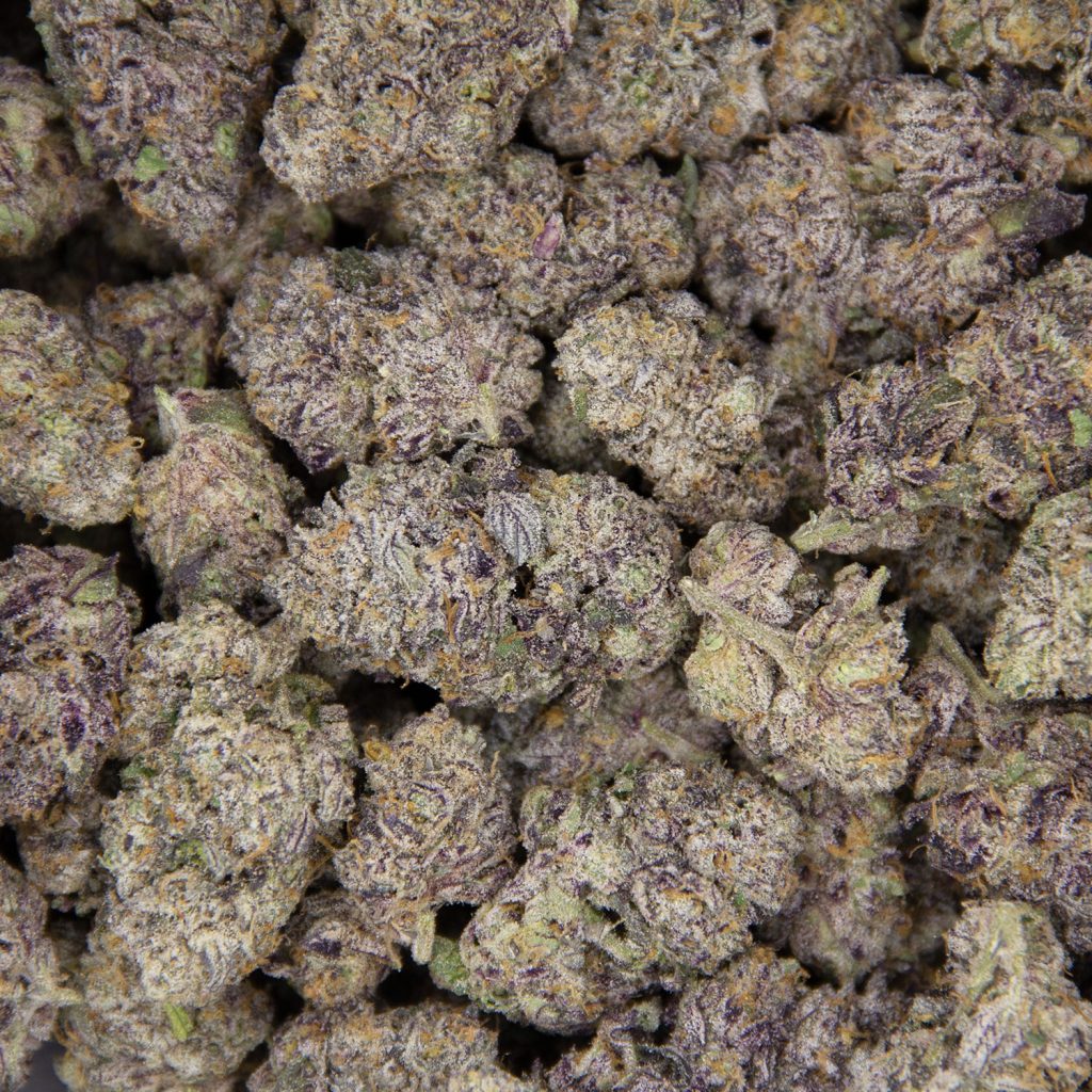 Rocket Chronic