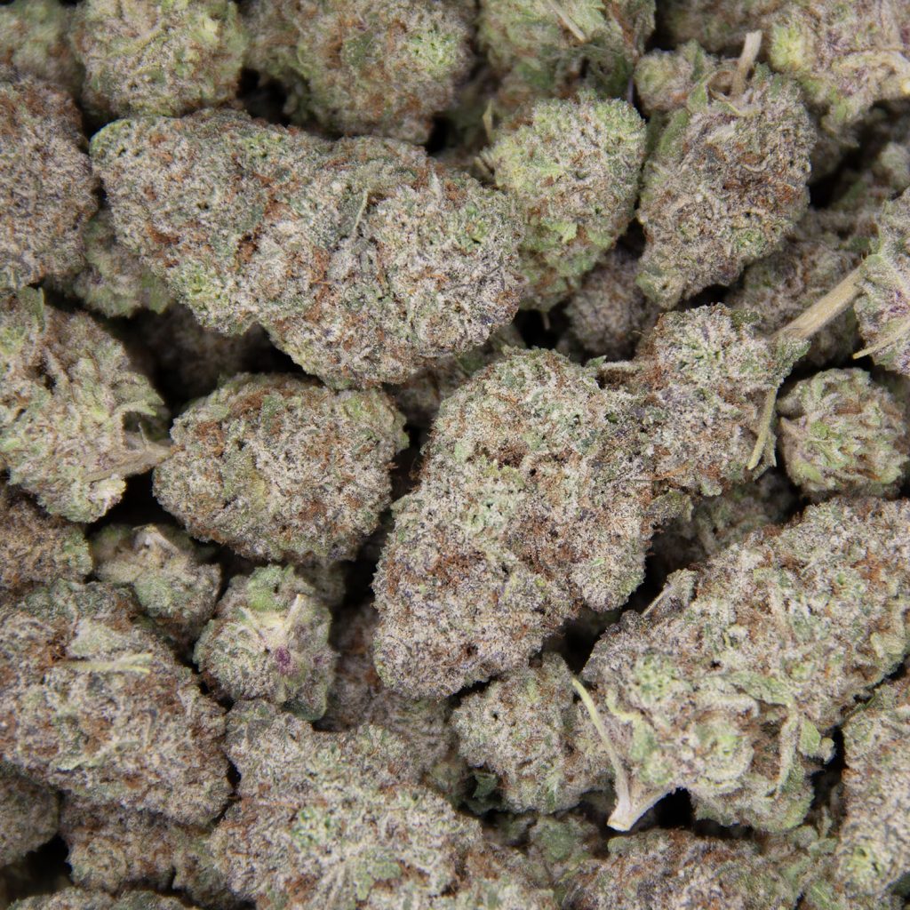 Rocket Chronic