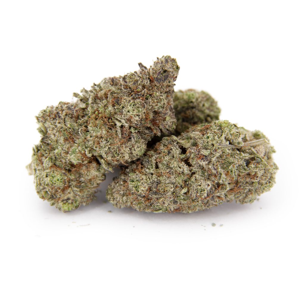 Rocket Chronic