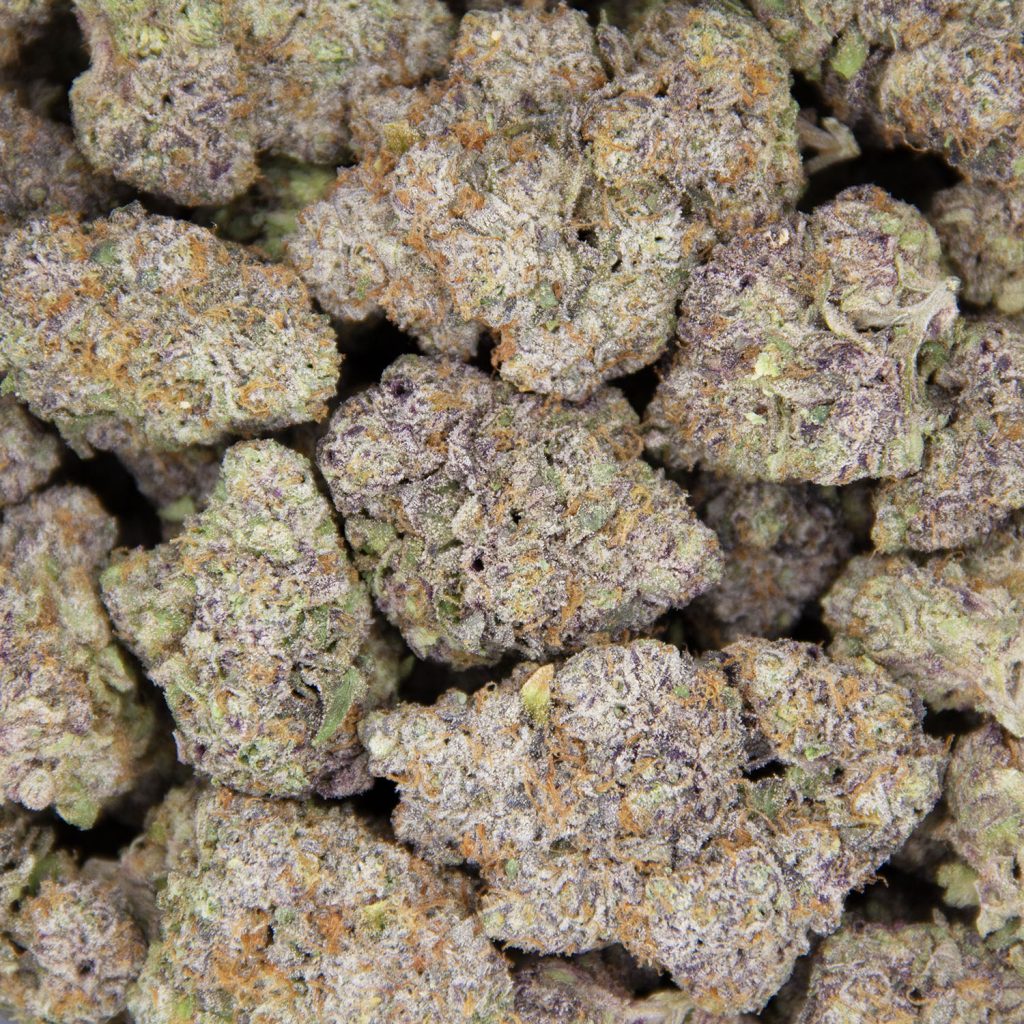 Rocket Chronic
