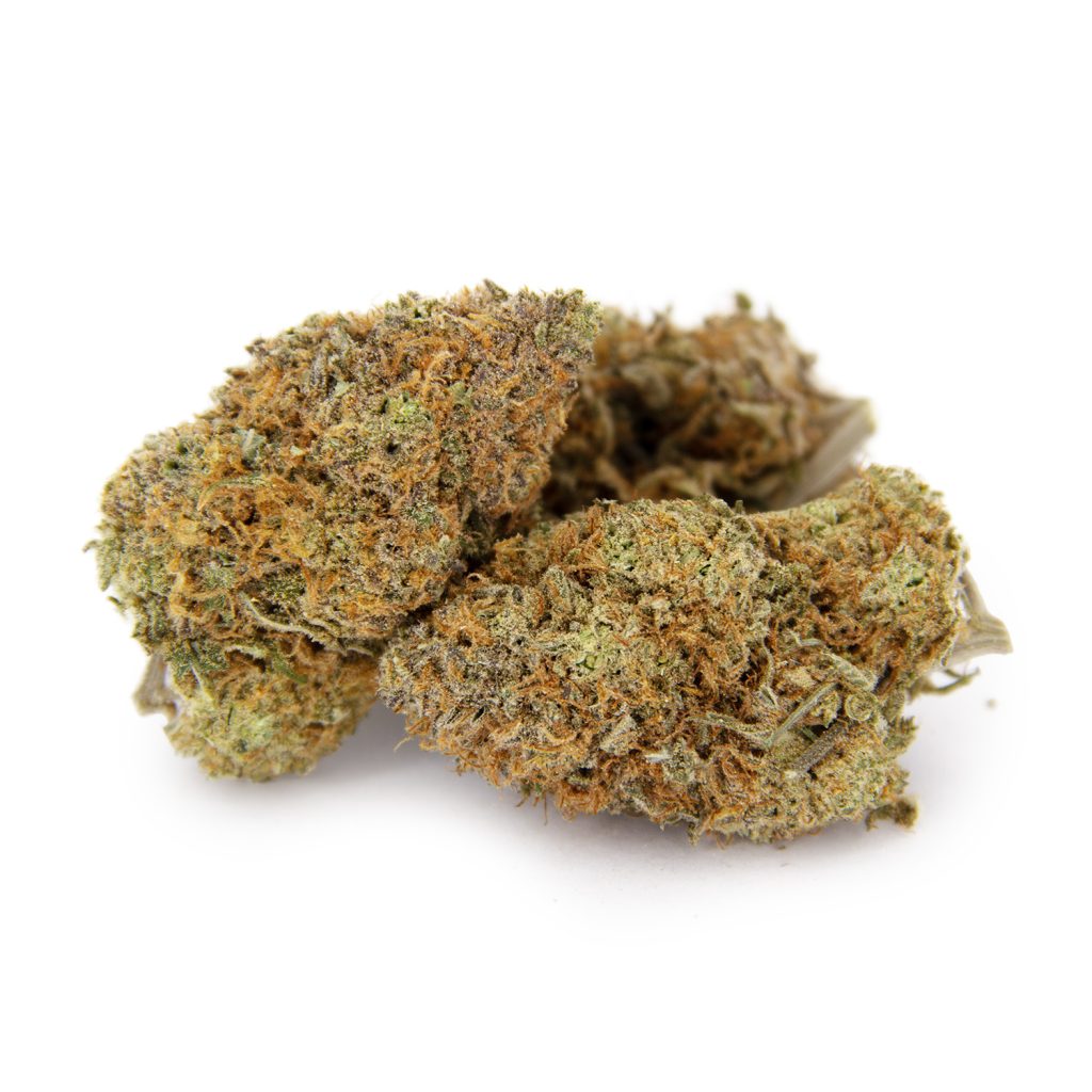 Rocket Chronic