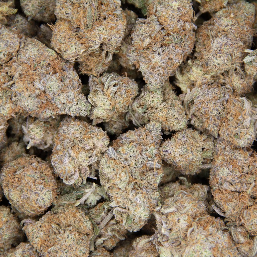 Rocket Chronic
