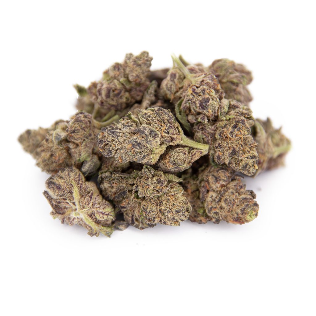 Rocket Chronic