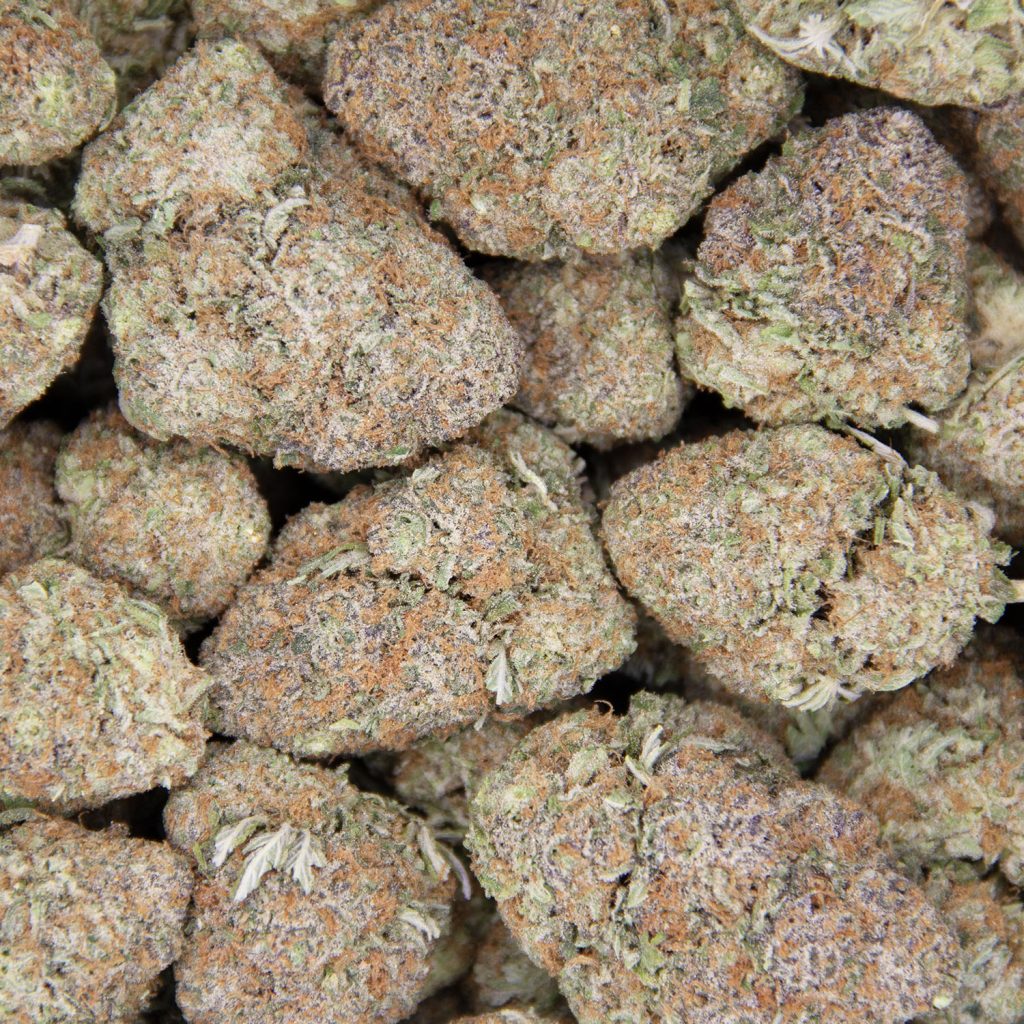 Rocket Chronic