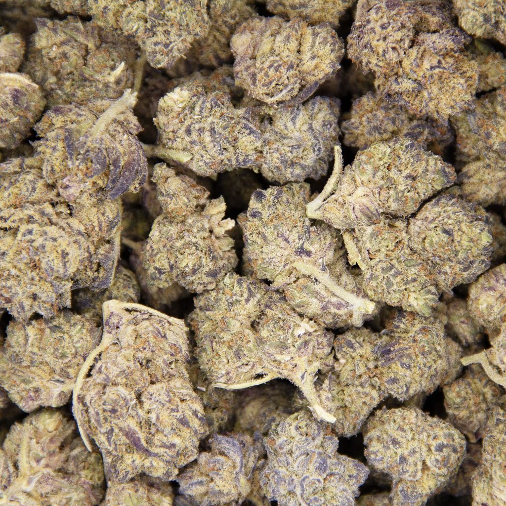 Rocket Chronic